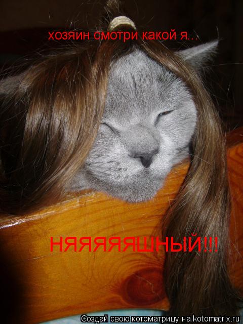 Котоматрица: хозяин смотри какой я... НЯЯЯЯЯШНЫЙ!!!