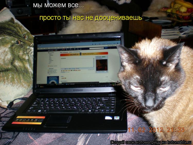 Котоматрица: мы можем все... просто ты нас не дооцениваешь