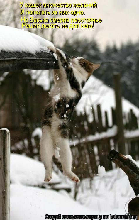 Котоматрица: У кошек множество желаний И полететь из них-одно. Решил,летать не для него! Но Васька смерив расстоянье