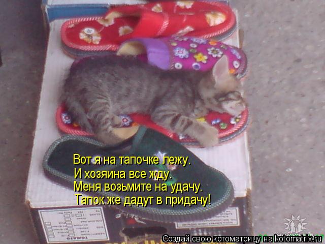 Котоматрица: Вот я на тапочке лежу. И хозяина все жду. Меня возьмите на удачу. Тапок же дадут в придачу!