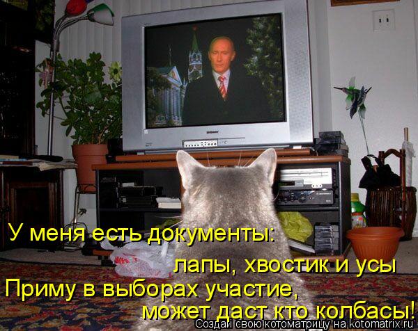 Котоматрица: У меня есть документы: лапы, хвостик и усы Приму в выборах участие, может даст кто колбасы!