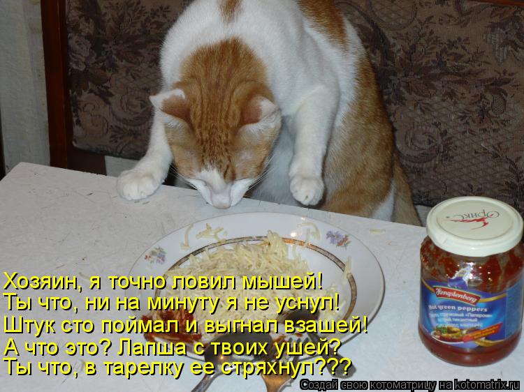 Хозяин, я точно ловил мышей! Ты что, ни на минуту я не уснул! Штук сто поймал и выгнал взашей! А что ... Котоматрица: Хозяин, я точно ловил мышей! Ты что, ни на минуту я не уснул! Штук сто поймал и выгнал взашей! А что это? Лапша с твоих ушей? Ты что, в тарелку ее