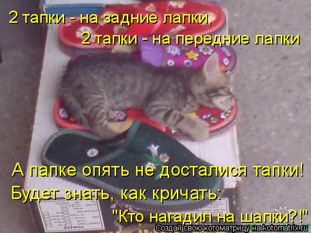Котоматрица: 2 тапки - на задние лапки, 2 тапки - на передние лапки А папке опять не досталися тапки! Будет знать, как кричать: "Кто нагадил на шапки?!"
