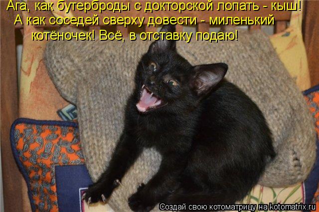 Котоматрица: А как соседей сверху довести - миленький Ага, как бутерброды с докторской лопать - кыш! котёночек! Всё, в отставку подаю!