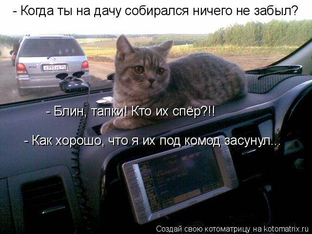 Котоматрица: - Когда ты на дачу собирался ничего не забыл?  - Блин, тапки! Кто их спёр?!!  - Как хорошо, что я их под комод засунул...