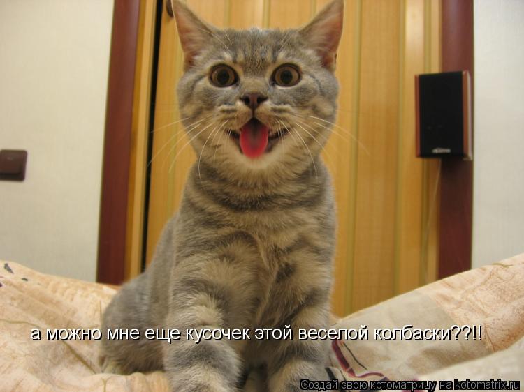 Котоматрица: а можно мне еще кусочек этой веселой колбаски??!!