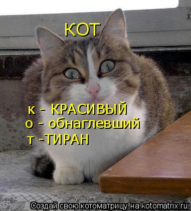 Котоматрица: КОТ к - КРАСИВЫЙ о - обнаглевший т -ТИРАН