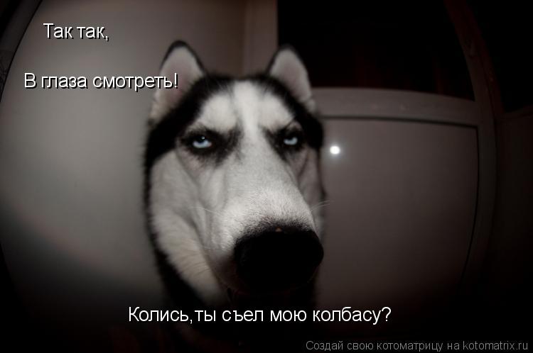 Котоматрица: Так так, В глаза смотреть! Колись,ты съел мою колбасу?