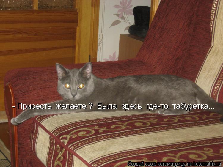 Котоматрица: - Присесть  желаете ?  Была  здесь  где-то  табуретка...