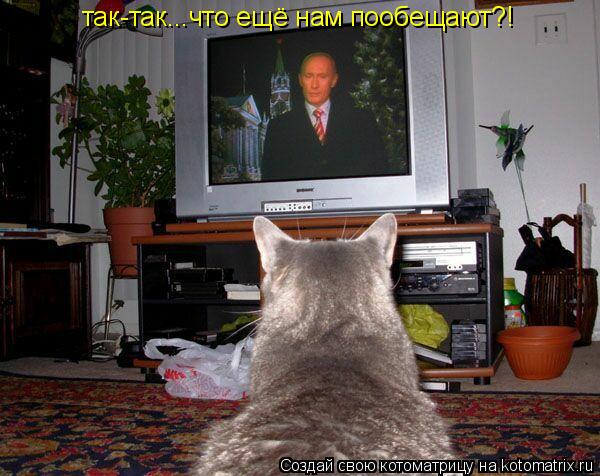 Котоматрица: так-так...что ещё нам пообещают?!