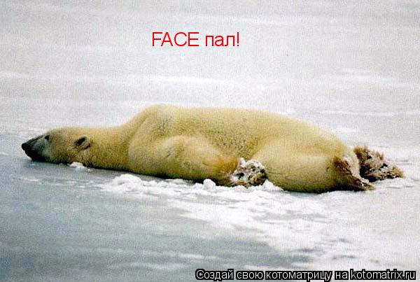 Котоматрица: FACE пал!