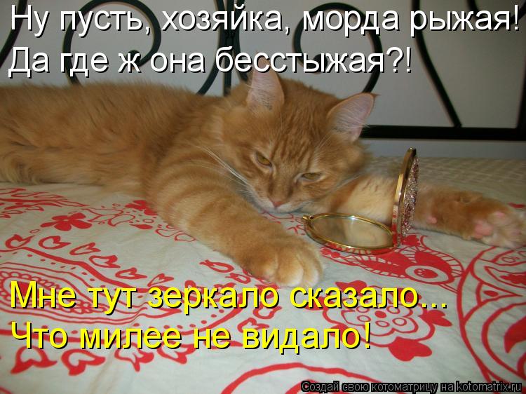 Котоматрица: Мне тут зеркало сказало... Что милее не видало! Да где ж она бесстыжая?! Ну пусть, хозяйка, морда рыжая!