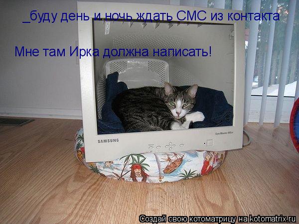 Котоматрица: _буду день и ночь ждать СМС из контакта Мне там Ирка должна написать!
