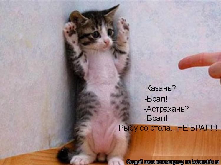 Котоматрица: Рыбу со стола...НЕ БРАЛ!!! -Брал! -Астрахань? -Брал! -Казань?