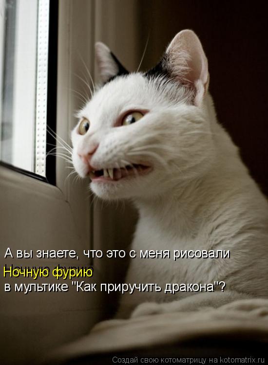 Котоматрица: А вы знаете, что это с меня рисовали Ночную фурию Ночную фурию в мультике "Как приручить дракона"?