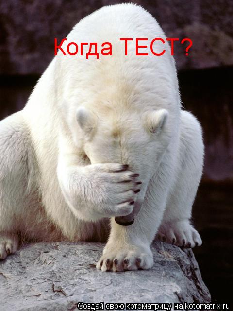 Котоматрица: Когда ТЕСТ?