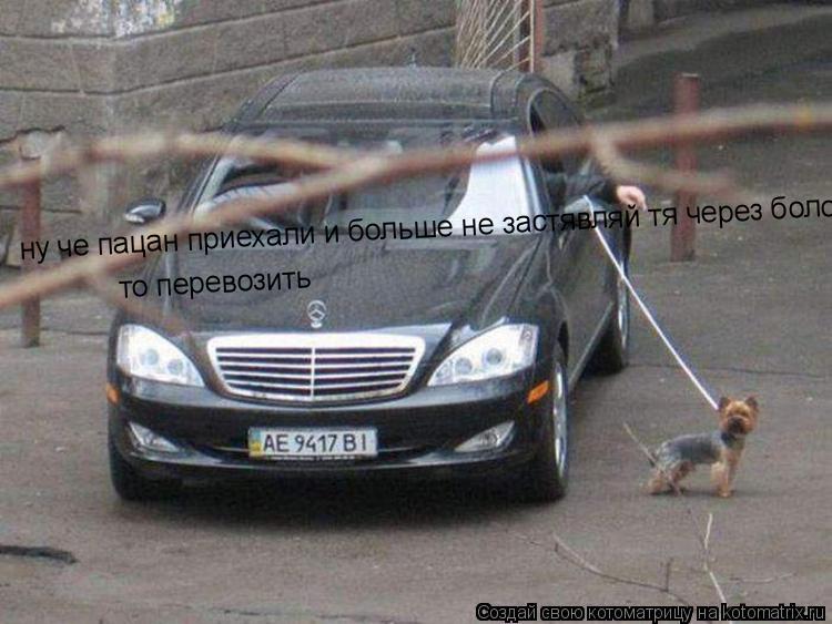 Котоматрица: ну че пацан приехали и больше не застявляй тя через болото перевозить то перевозить