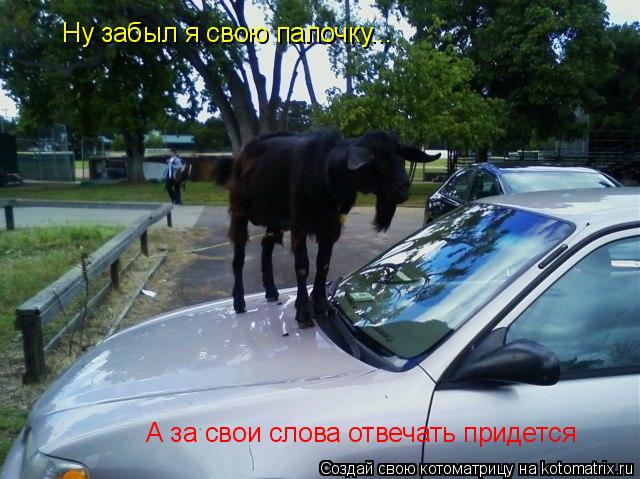 Котоматрица: Ну забыл я свою палочку... А за свои слова отвечать придется