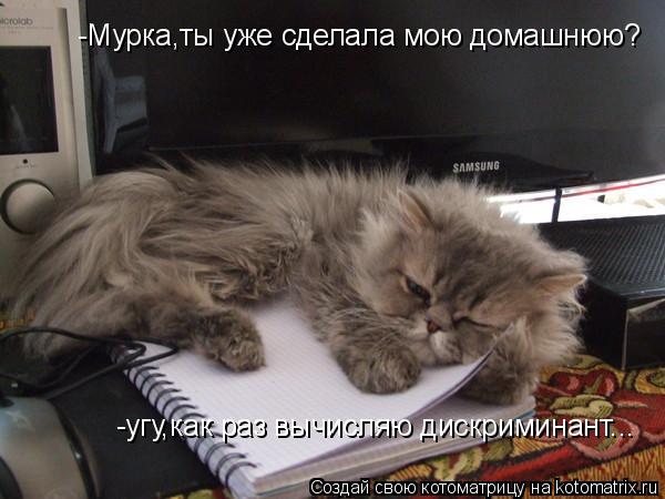Котоматрица: -Мурка,ты уже сделала мою домашнюю? -угу,как раз вычисляю дискриминант...