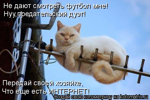 Котоматрица: Не дают смотреть футбол мне! Нуу,предательский дуэт! Передай своей хозяйке, Что еще есть ИНТЕРНЕТ!