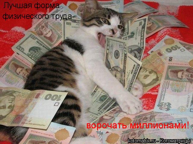 Котоматрица: Лучшая форма  физического труда- ворочать миллионами!