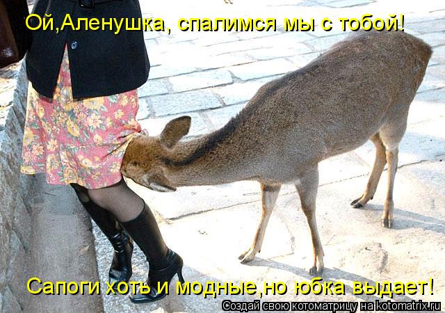 Котоматрица: Ой,Аленушка, спалимся мы с тобой!  Сапоги хоть и модные,но юбка выдает!