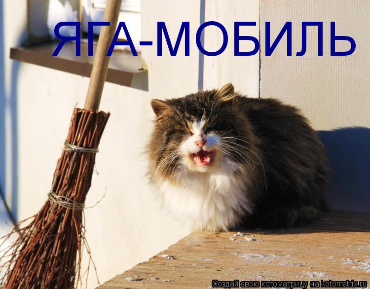 Котоматрица: ЯГА-МОБИЛЬ