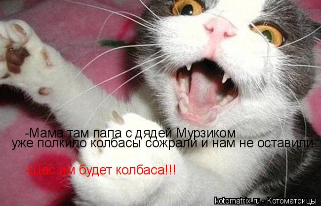 Котоматрица: -Мама там папа с дядей Мурзиком уже полкило колбасы сожрали и нам не оставили -Щас им будет колбаса!!!