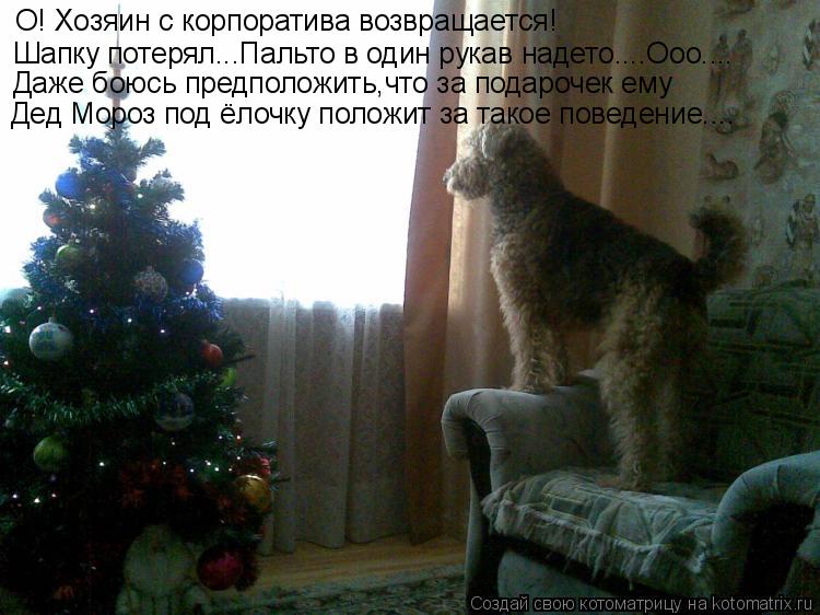 Котоматрица: О! Хозяин с корпоратива возвращается! Шапку потерял...Пальто в один рукав надето....Ооо.... Даже боюсь предположить,что за подарочек ему Дед Мо