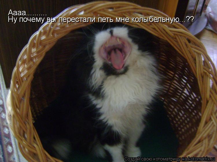 Котоматрица: Аааа.......... Ну почему вы перестали петь мне колыбельную...??