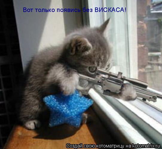 Котоматрица: Вот только появись без ВИСКАСА!