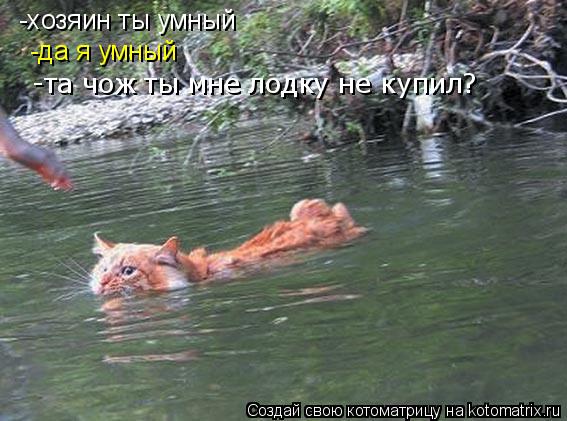 Котоматрица: -хозяин ты умный -да я умный -та чож ты мне лодку не купил?