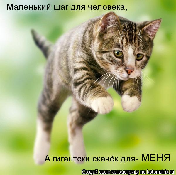Котоматрица: Маленький шаг для человека, А гигантски скачёк для- МЕНЯ