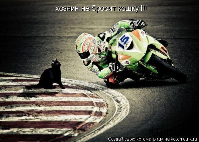 Котоматрица: хозяин не бросит кошку !!!