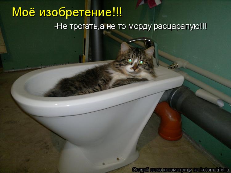 Котоматрица: Моё изобретение!!! -Не трогать,а не то морду расцарапую!!!