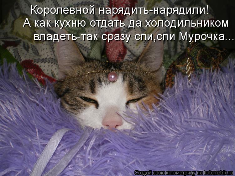 Котоматрица: Королевной нарядить-нарядили! А как кухню отдать да холодильником владеть-так сразу спи,спи Мурочка...