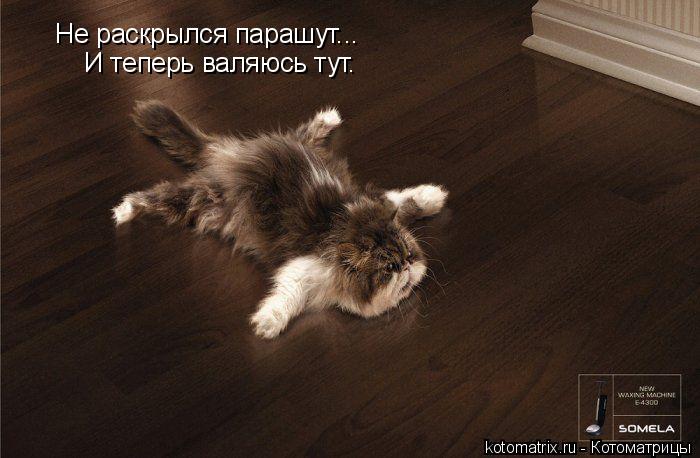 Котоматрица: Не раскрылся парашут... И теперь валяюсь тут.