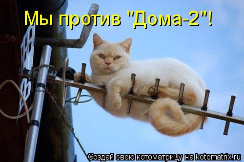 Котоматрица: Мы против "Дома-2"!