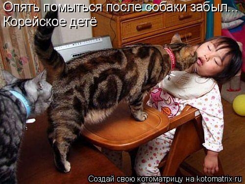 Котоматрица: Опять помыться после собаки забыл... Корейское детё