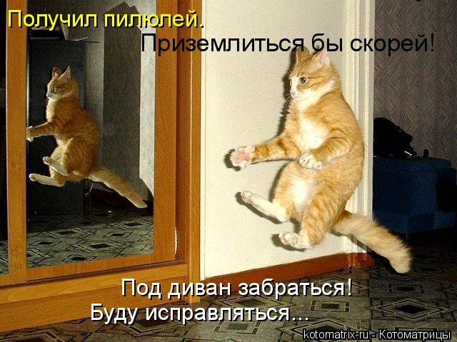Котоматрица: Получил пилюлей. Приземлиться бы скорей! Под диван забраться! Буду исправляться...
