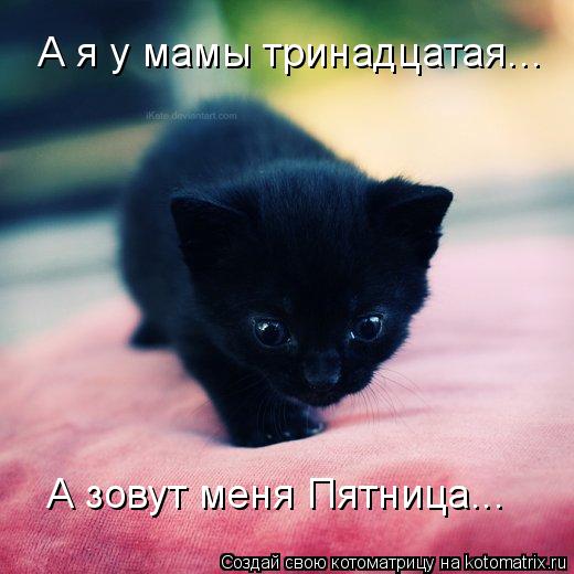 Котоматрица: А зовут меня Пятница... А я у мамы тринадцатая...