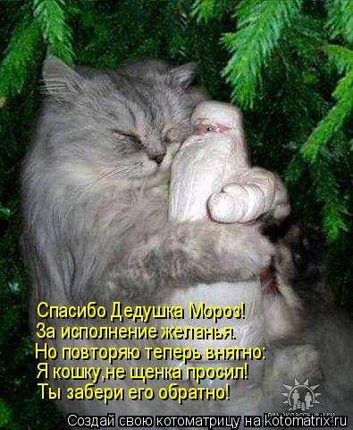 Котоматрица: Спасибо Дедушка Мороз! За исполнение желанья. Но повторяю теперь внятно: Я кошку,не щенка просил! Ты забери его обратно!