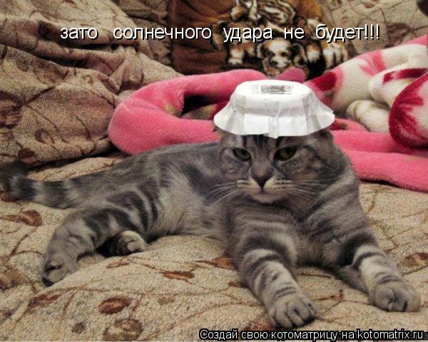 Котоматрица: зато   солнечного  удара  не  будет!!!