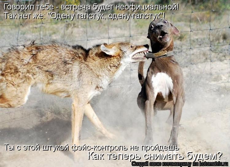 Котоматрица: Говорил тебе - встреча будет неофициальной! Так нет же: "Одену галстук, одену галстук"! Как теперь снимать будем? Ты с этой штукой фэйс-контро
