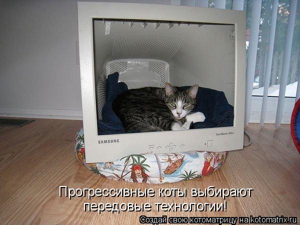 Котоматрица: Прогрессивные коты выбирают передовые технологии!