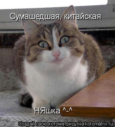 Сумашедшая, китайская НЯшка ^-^... Котоматрица: Сумашедшая, китайская НЯшка ^-^