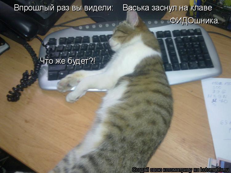 Впрошлый раз вы видели: Васька заснул на клаве ФИДОшника. Что же будет?!... Котоматрица: Впрошлый раз вы видели: Васька заснул на клаве ФИДОшника. Что же будет?!
