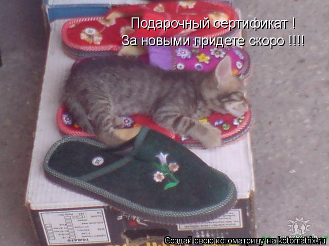 Котоматрица: Подарочный сертификат ! За новыми придете скоро !!!!