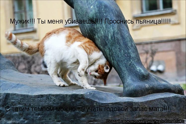 Котоматрица: Мужик!!! Ты меня убиваешь!!!! Проснись пьяница!!!!! С таким темпом можно выучить годовой запас мата!!!