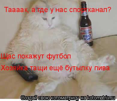 Котоматрица: Таааак, а где у нас спортканал? Щас покажут футбол Хозяйка тащи ещё бутылку пива